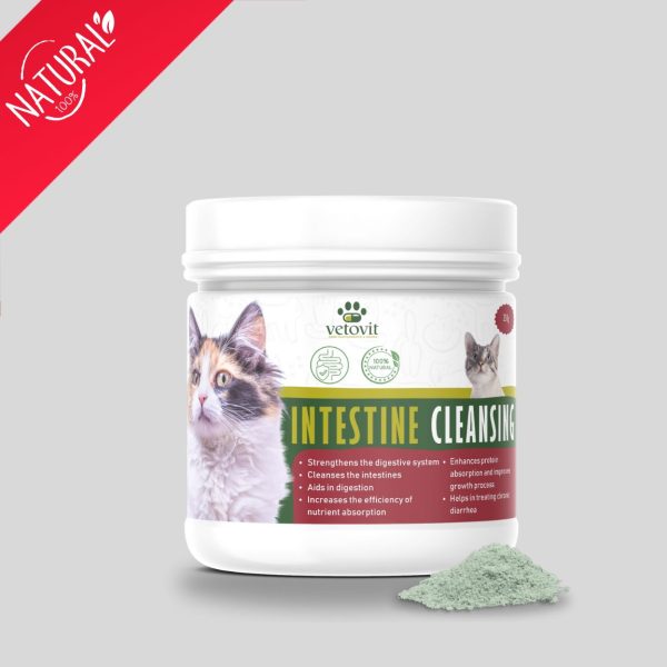 Cat Intestine Cleansing - Image 2