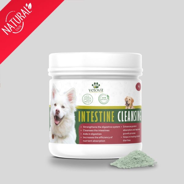 Dog Intestine Cleansing - Image 2