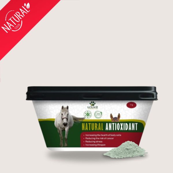 Horse Natural Antioxidant - Image 2