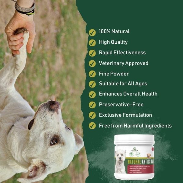 Dog Natural Antioxidant - Image 3