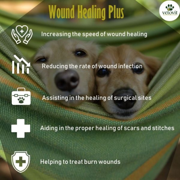 Dog Wound Healing Plus - Image 4