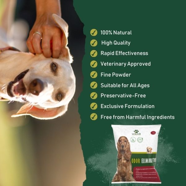 Dog Odor Eliminator - Image 3