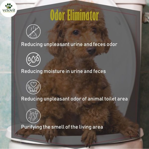 Dog Odor Eliminator - Image 4