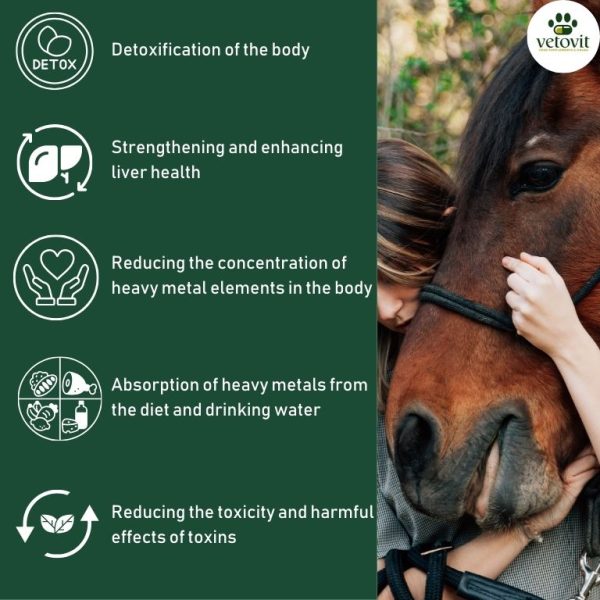 Horse Total Body Detox - Image 5