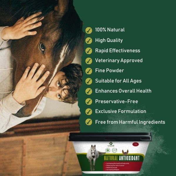 Horse Natural Antioxidant - Image 4