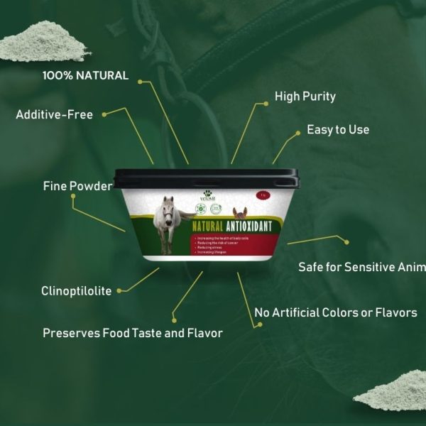 Horse Natural Antioxidant - Image 3