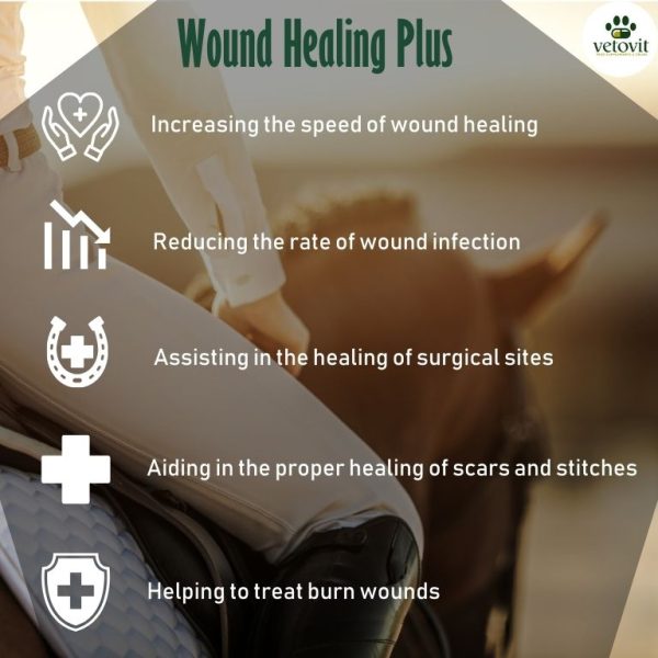 Horse Wound Healing Plus - Image 4