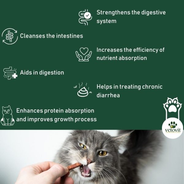 Cat Intestine Cleansing - Image 4