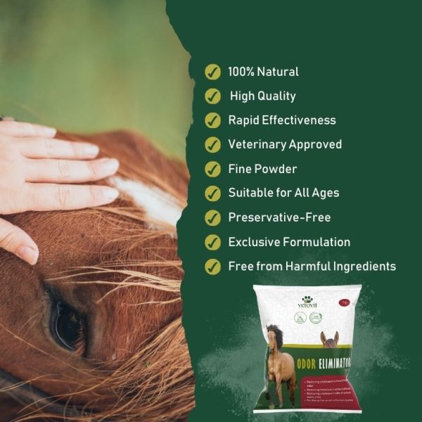 Horse Odor Eliminator - Image 5