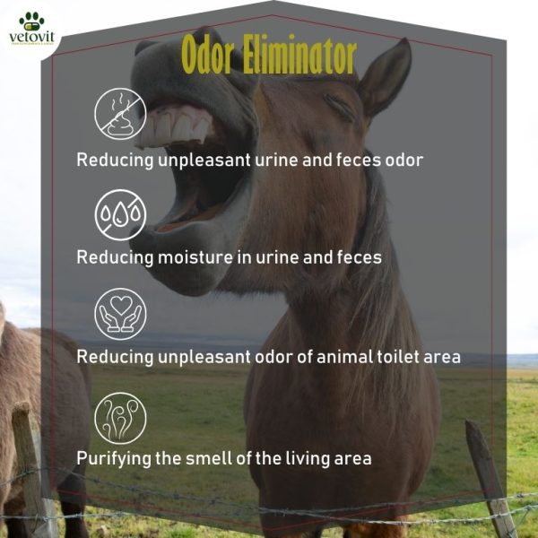 Horse Odor Eliminator - Image 4