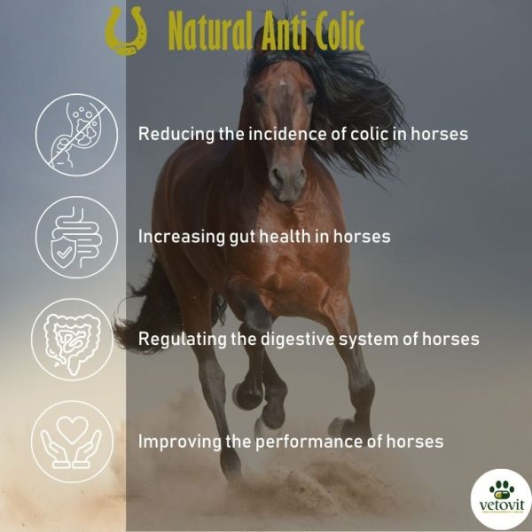 Horse Natural Anti colic - Image 4