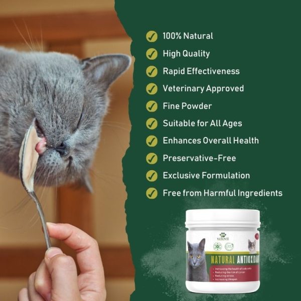 Cat Natural Antioxidant - Image 4