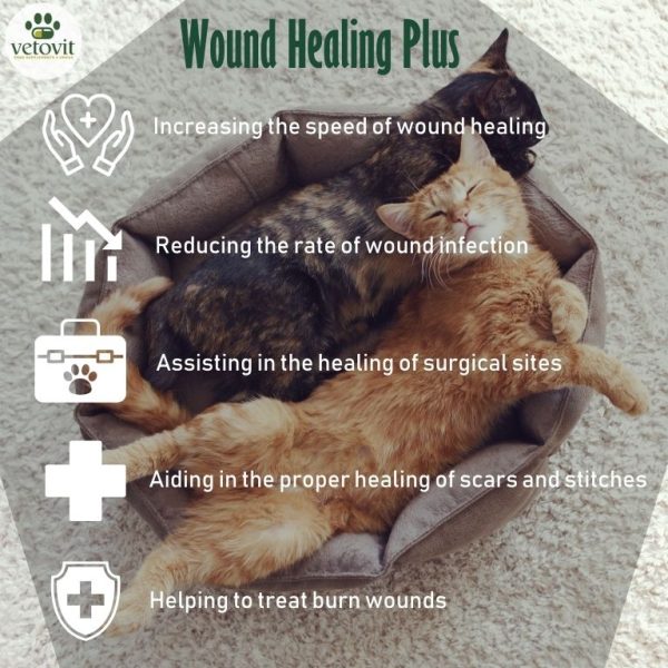 Cat Wound Healing Plus - Image 4