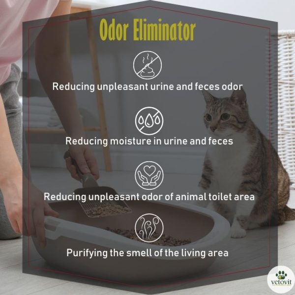 Cat Odor Eliminator - Image 3