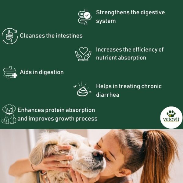 Dog Intestine Cleansing - Image 4